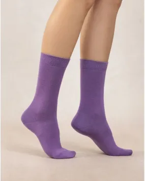 6488 Wool And Silk Jersey Socks Violet