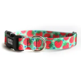 Berry Cute Dog Collar