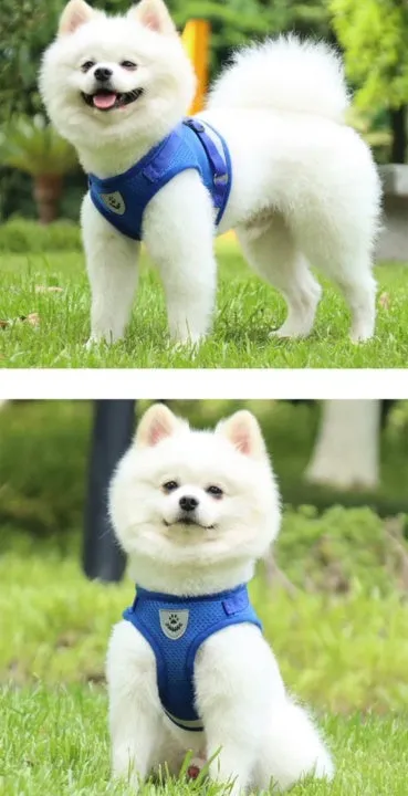 Breathable  Summer Pet Chest Dog Collar