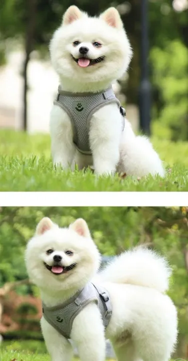 Breathable  Summer Pet Chest Dog Collar