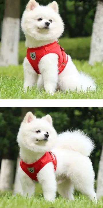 Breathable  Summer Pet Chest Dog Collar