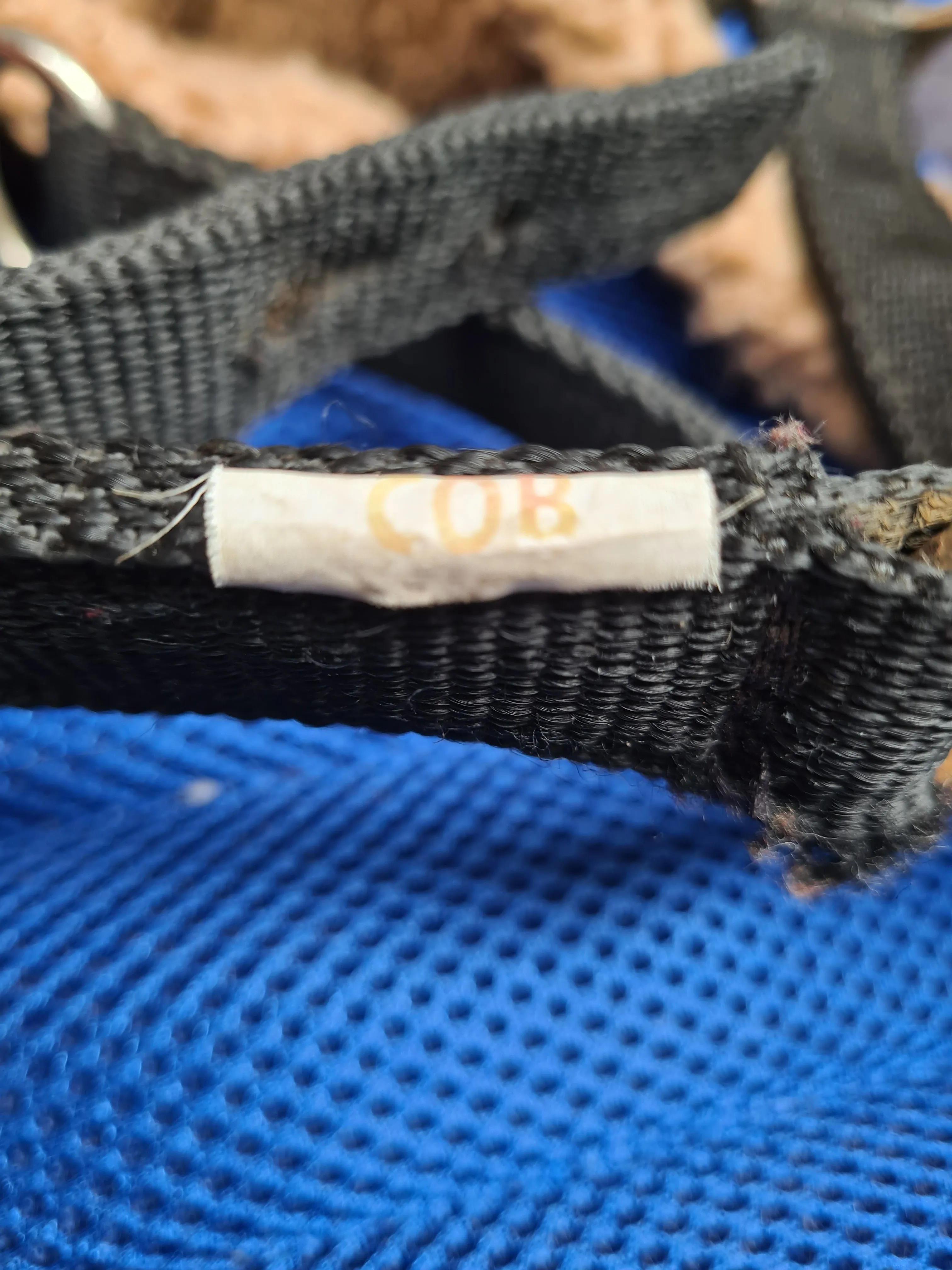 cavasson head collar, black cob size