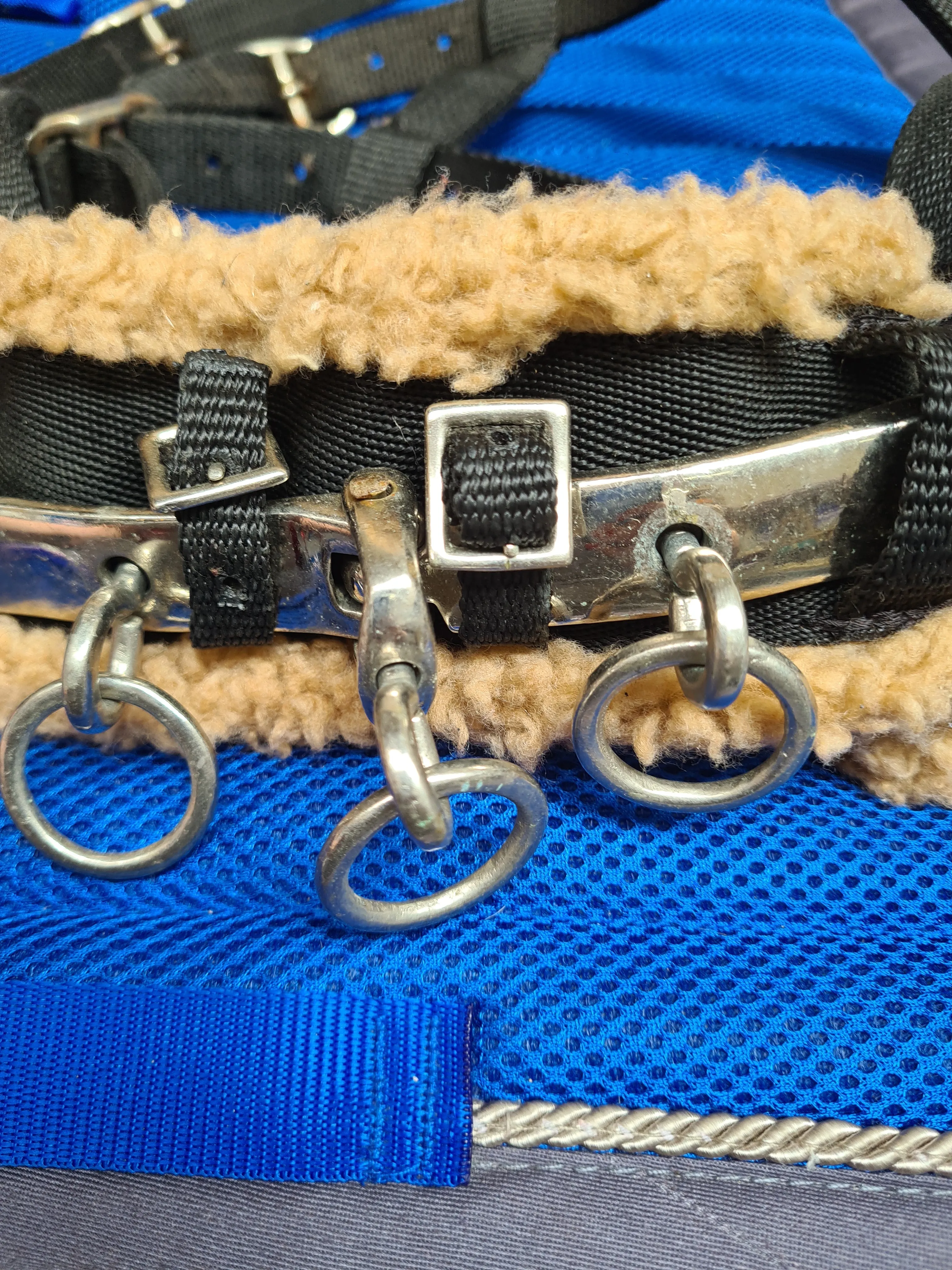 cavasson head collar, black cob size