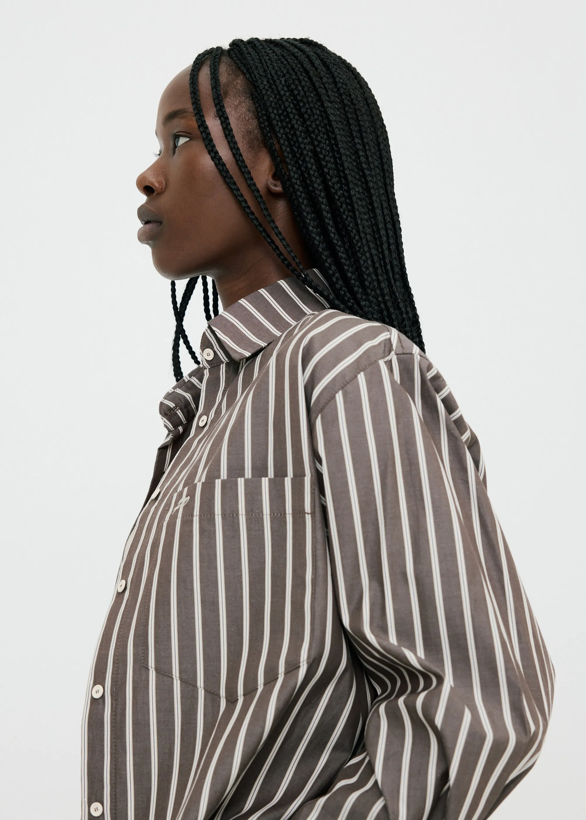 Examine Shirt ~ Umber Stripe