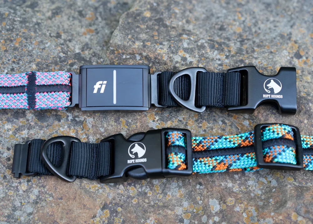 INLINE Fi Compatible Collar Band for Fi Series 3