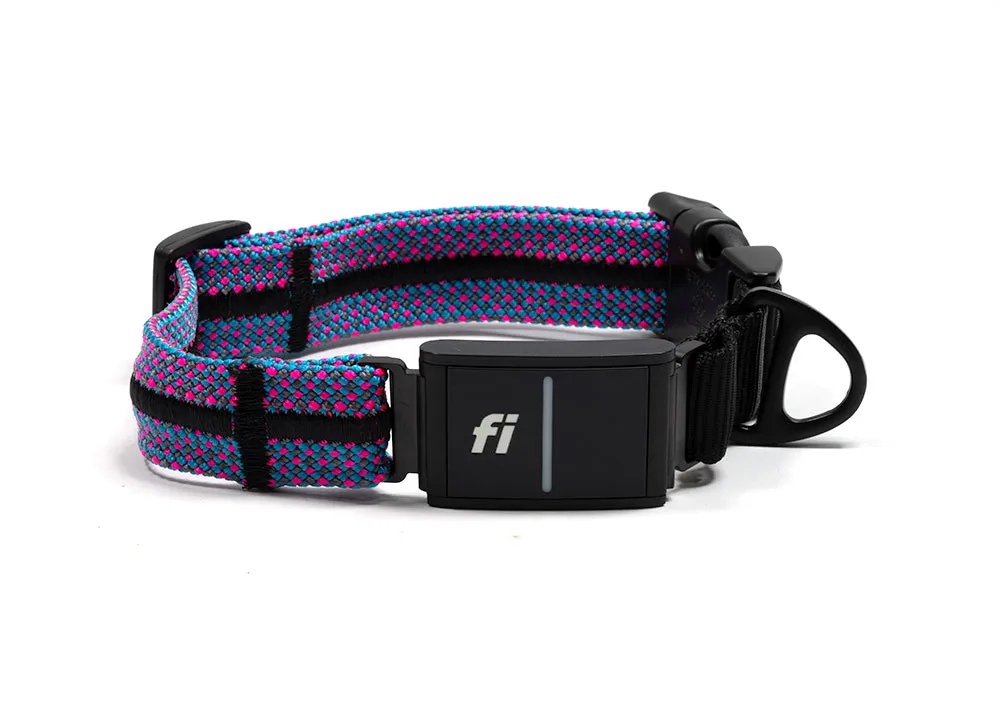 INLINE Fi Compatible Collar Band for Fi Series 3