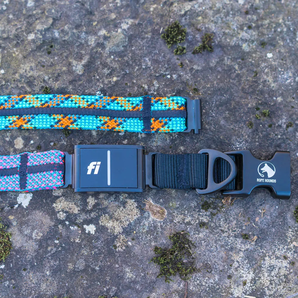 INLINE Fi Compatible Collar Band for Fi Series 3