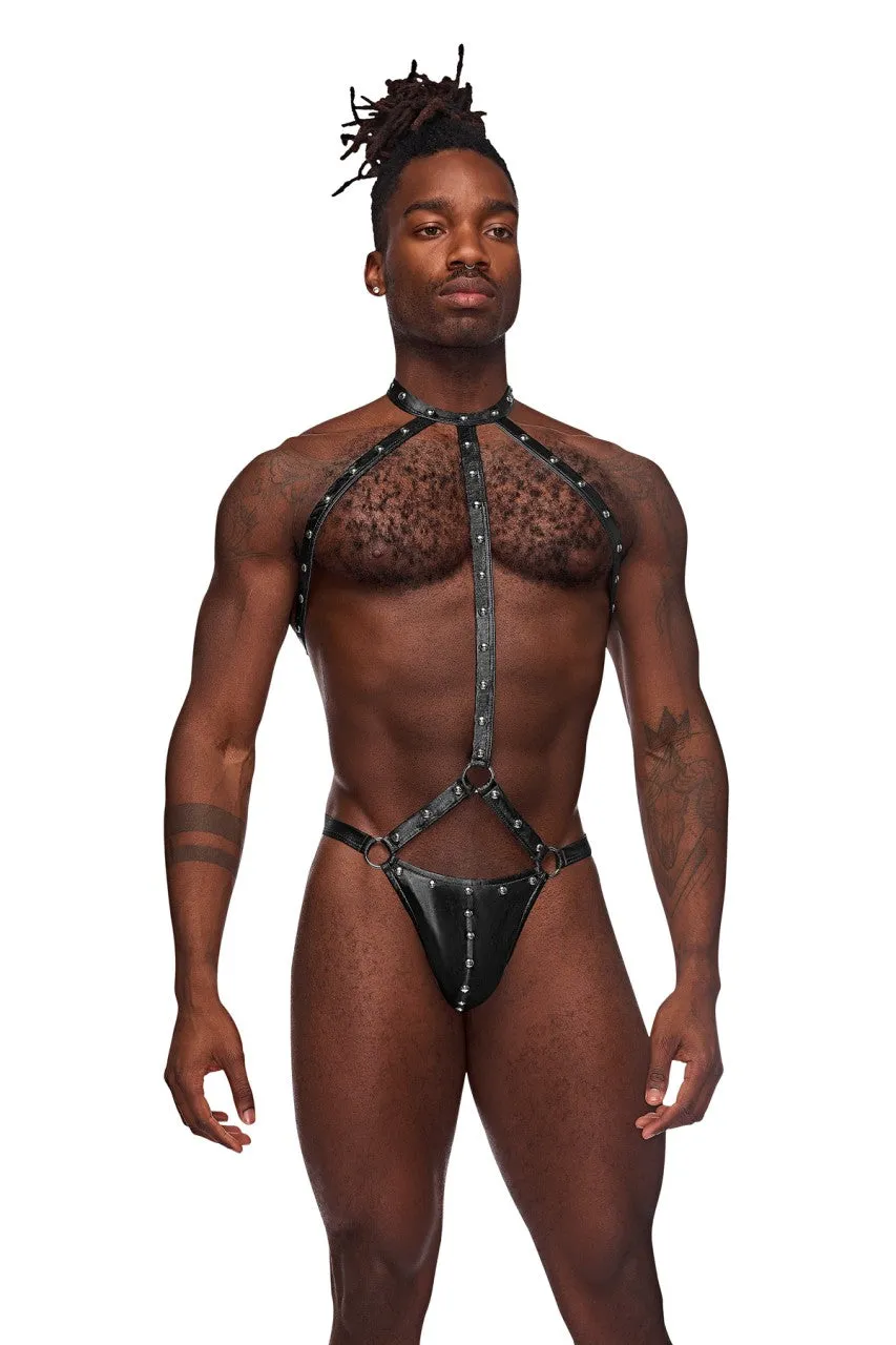 MPPAK133 Malepower Gladiator Underwear