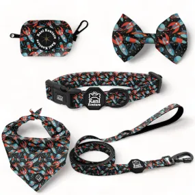 Space Voyage - Deluxe Collar Set